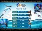 Explore Jakarta Aquarium & Safari: Perfect Year-End Adventure for Families