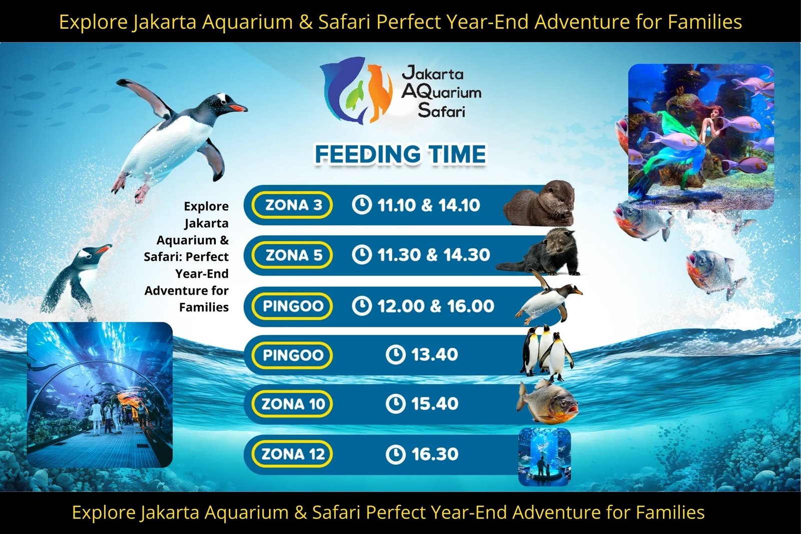 Explore Jakarta Aquarium & Safari: Perfect Year-End Adventure for Families